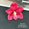 Simulación Nuevo Estilo Película Flores de Orquídea Phalaenopsis Producto Más Vendido Decoración de Mesa de Postres para Pastelería Fabricación de Tocados Étnicos Minoritarios
