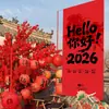 2026 Año Nuevo Caligrafía Tela Colgante Día de Año Nuevo Festival de Primavera Tienda de Centro Comercial Puesto Callejero de Jardín de Infancia Decoraciones de Pared de Fondo para Fotos