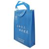 Bolsa de almacenamiento publicitaria para clase de capacitación, impresión a color, botón de prensa en caliente, bolsa de compras de supermercado, bolso plegable no tejido, venta al por mayor
