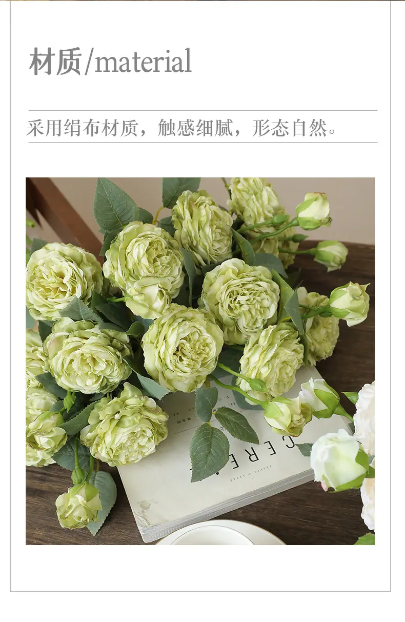 贝勒米3头茶玫_02.jpg