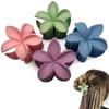 Fengpin 4 piezas Bauhinia combinación Amazon agarre clip simple versátil europeo y americano transfronterizo acrílico agarre tiburón clip