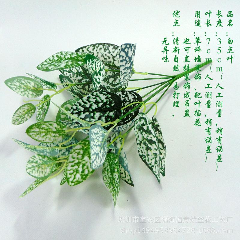 DSC00533 副本