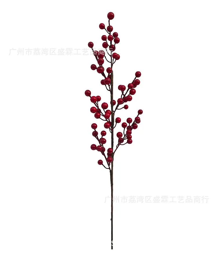 红果-(1)_11.jpg