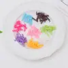 Argila Macia Colorida Rolinho Primavera Rolinho de Frutas Rolinho de Doce Comida DIY Brinquedo Rolinho de Chocolate Acessórios para Decoração de Bolo com Creme