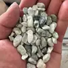 Venta al por mayor del fabricante de Guijarros de Piedra Verde, Guijarros de Jade Verde, Piedras Redondas Pulidas de Jade Verde, Grava de Jade Verde para Decoración de Jardín y Paisajismo