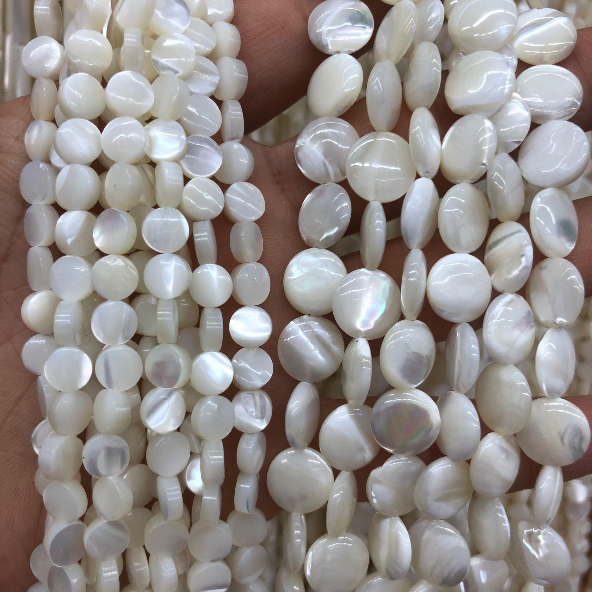 马蹄螺:平面+胖面