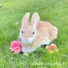 Manualidades de Piel de Conejo Sintética Modelo Conejo Blanco Adorno de Escritorio Animal Pequeño Conejo Blanco Juguete Regalo de Cumpleaños