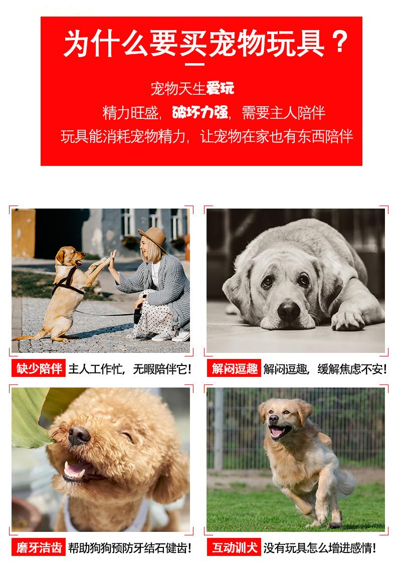 最终引流款_02.jpg
