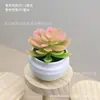 Decoraciones de plantas suculentas artificiales para interiores, oficina, adornos pequeños, plantas verdes, combinación de micro paisajismo, mobiliario con plantas en maceta