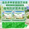 Solución nutritiva horticultural universal para plantas, adecuada para cultivo hidropónico, flores de maceta, potos, bambú de la suerte y otras plantas con flores; fertilizante líquido en forma de perlas