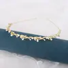 Diadema de Hada Verano Popular en Internet 2024 Nuevo Aleación Perla de Agua Fina Brillante Diamante Accesorios para la Cabeza Mujeres