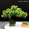 Hotel Sashimi Mariscos Moriawase Decoración de Presentación Flores Plantas Plato Creativo Adorno Pino Decoración de Plato Pequeños Adornos Decoraciones