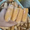 Mazorcas de Maíz para Roer Hámsteres, Mini Snacks de Maíz para Conejos, Chinchillas, Cobayas, Hámsteres Dorados y Pequeños Snacks de Maíz para Desgastar los Dientes