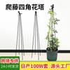 Estructura de soporte para planta de clemátide con flor de cuatro esquinas transfronteriza, marco de soporte para planta de jardín en balcón exterior, soporte para rosa, estructura de soporte para planta trepadora