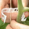 Clipes de Suporte para Plantas, Clipes de Fixação para Plantas, Clipes para Amarrar Trepadeiras, Clipes Verdes para Trepadeiras de Plantas, Tomates, Clipes Mágicos para Amarrar Tomates, Pimentões e Uvas
