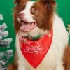 Fábrica de Origen Amazon Más Vendido Pañuelo Bandana para Gato Perro Babero Navidad