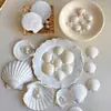 Flores de concha de verano blancas naturales ramo decoraciones pequeños accesorios para floristas arte floral materiales DIY