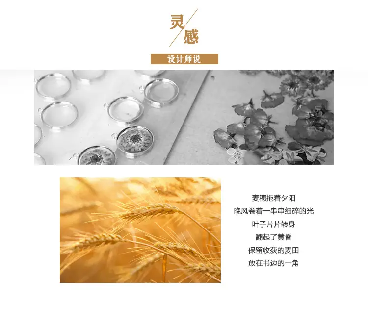 艾德_02.jpg