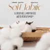 Calcetines de Algodón Puro para Mujer para Primavera y Otoño, de Media Pantorrilla con Diseño Calado de Encaje, de Malla Transpirable de Longitud Media, Calcetines de Pantorrilla Modernos para Mujer