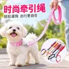 Correa para Perro con Parche y Set de Collar con Cascabel, Correa Exterior para Perro Pequeño Suministros para Mascotas