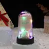Mini Ramo Transfronterizo de Flores de Jabón, Rosas Eternas Cubiertas de Acrílico, Regalo de Cumpleaños, Adorno Luminoso de Escritorio