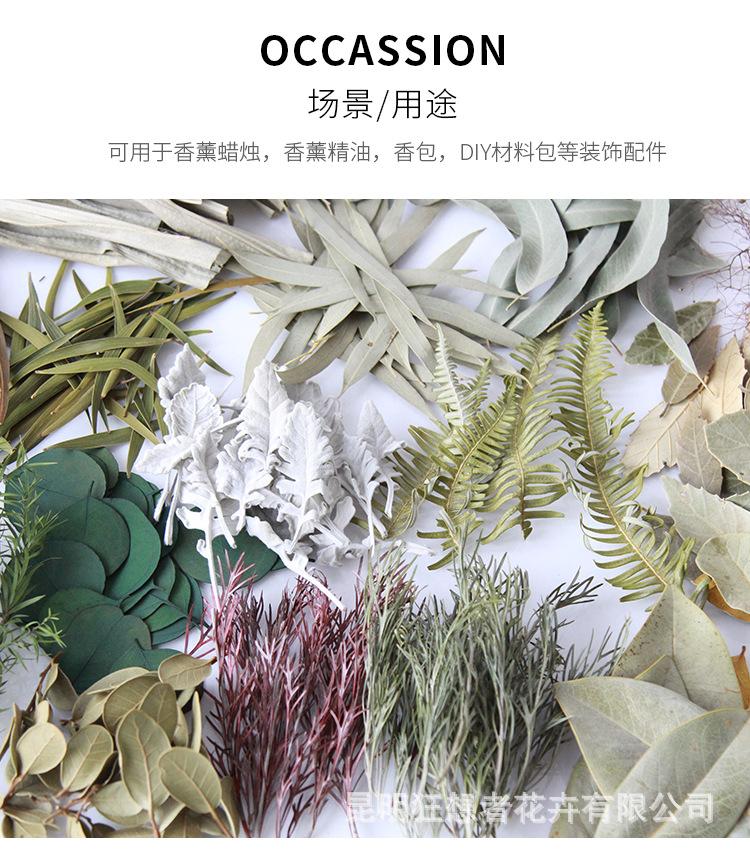 中文_10
