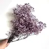 Buquê de Gipsofila Seca Preservada Flores Secas Brancas Flores Reais Secas ao Ar Flores Grandes Decoração de Sala de Estar Arranjo de Flores Flores para Fotografia de Casamento