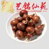 Madera de Azufaifo Rayada Forma Natural Espada del Tesoro Tallado Accesorios Coleccionables Yi Ming Xian Yuan Creativo DIY Pulsera Collar Accesorios para Cuentas