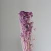 Flores de Mijo Conservadas Blancas, Flores de Mijo Secas, Venta al por Mayor desde Fabricante, Materiales para Uñas Hechas a Mano DIY