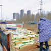 Espesante de grado alimenticio agente suspensor estabilizante soluble en agua malla 80 malla 200 alta viscosidad mayoreo goma xantana zhong
