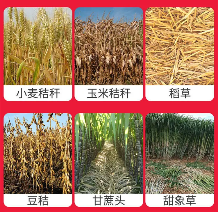 详情6.png