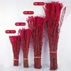 Sauce Plateado Flor Real Rama Fresca Flor Seca Roja Flor Cultivada en Agua Decoración de Interiores Sala de Estar Rama Seca de la Suerte Flor de Nochevieja
