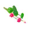 Pequeno Lótus Ninfeia Decoração de Casa Hotel Aquário Ornamentos Decoração de Engenharia Flores Atacado Plantas Verdes Mais Vendidos Alta Simulação