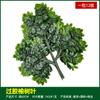 Simulación de hojas de baniano, hojas de arce rojo, hojas de ginkgo, ramas falsas, hojas de otoño, ingeniería, decoración, plantas verdes, paisajismo, venta al por mayor