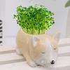 Adornos de Cachorro de Porcelana Blanca DIY Regalo Creativo para Niños Accesorios para el Hogar de Estudiantes Maceta Mini Maceta