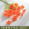 Margarida Simulada 5 Crisântemo Holandês Cosmos Casamento Decoração de Casa Adereços Flor Simulada Camomila