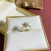 TikTok Explosiones Anillo Giratorio de Copo de Nieve Pequeño Anillo de Zirconia para Mujer Tendencia Personalizada Diseño de Nicho Anillo de Comida de Moda Japonés y Coreano