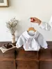 Conjunto de otoño para niña, nuevo y elegante conjunto de bebé para niñas, conjunto de dos piezas para primavera y otoño para niños de un año, moderno