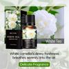 Comercio Exterior Transfronterizo Mejisoo Aceite Esencial de Aromaterapia Soluble en Agua Interior Hotel Aire Fresco Humidificador Fragancia Especial