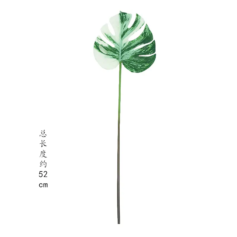 主图3_副本_副本