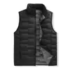 Chaleco de plumas de grafeno, unisex, ligero, cuello alto, adecuado para otoño e invierno, plumón de pato blanco, estampado personalizado
