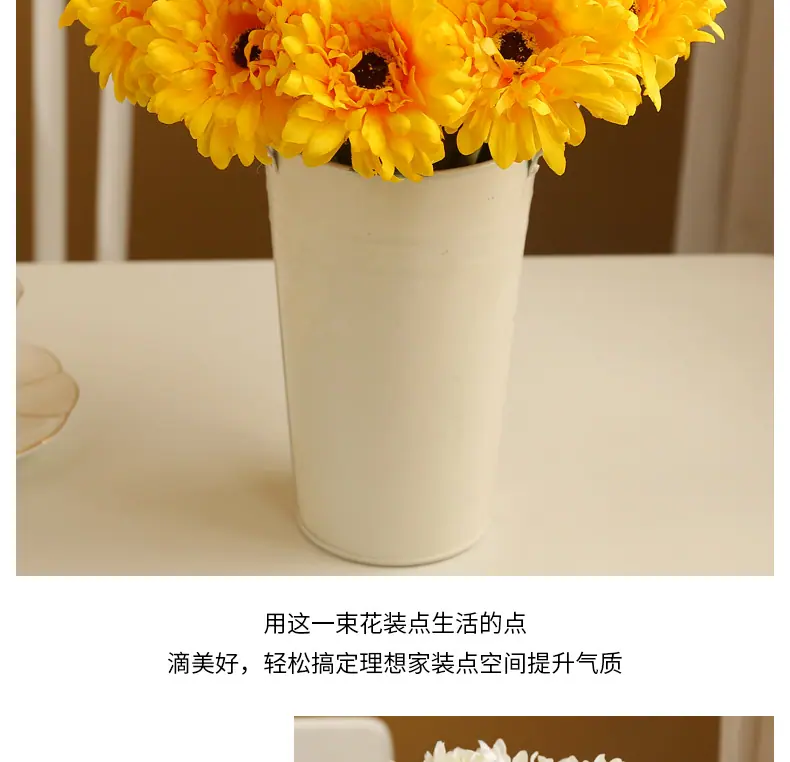 短枝菊-花_08.jpg