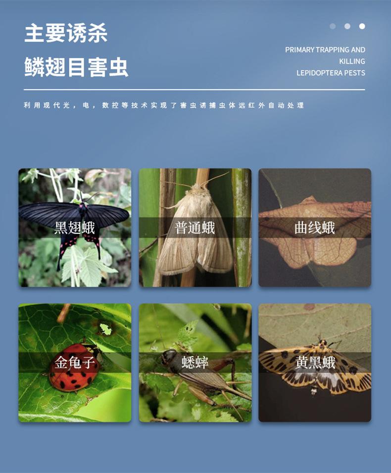 详情虫情监测仪_09（1） (6).jpg