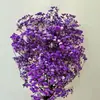 Gipsofila Seca Atacado Vendida por Jin Buquês de Flores Preservadas Materiais DIY Presentes para Casamento Dia da Mulher Sensação de Alto Padrão