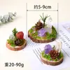 Adorno de musgo eterno para micro-paisaje de cristal con base de madera natural, decoración de cristal natural, piedra bruta de cristal, adorno de racimo de cristal
