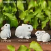 Decoración de animalito blanco de conejo lindo para exteriores, muñeco de conejito blanco pequeño, decoración de micro paisajismo para jardín