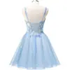 Estilo Nuevo 2026 Elegante Ceñidor de Cintura Sin Tirantes Malla Fiesta de Cumpleaños Dama de Honor Vestido de Noche para Mujeres, Suministro Transfronterizo