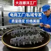 ¡Fábrica de Dalian Estándar Nacional! Pepino de Mar Seco Fresco al por Mayor desde la Fuente, Empaque de Caja de Regalo de Pepino de Mar Salvaje, Pepino de Mar para Dropshipping de Comercio Electrónico