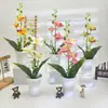 Tres Orquídeas Phalaenopsis con Macetas Altas Abiertas para Fotografía de Bonsái, Accesorios de Plantas en Maceta, Decoración de Hotel para Bodas, Adornos de Flores Artificiales