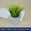 Planta verde de alta simulação flor em vaso cordão de dinheiro bola de grama muda de grama grama escritório display de mesa interna planta verde planta pequena em vaso